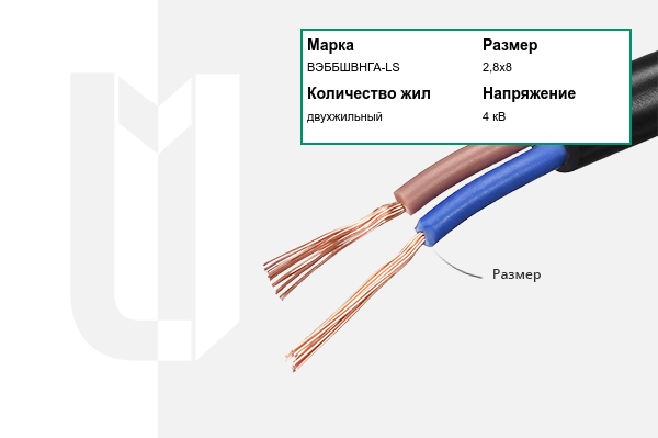Силовой кабель ВЭББШВНГА-LS 2,8х8 мм